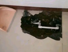 西秀卫生间测漏水多少钱